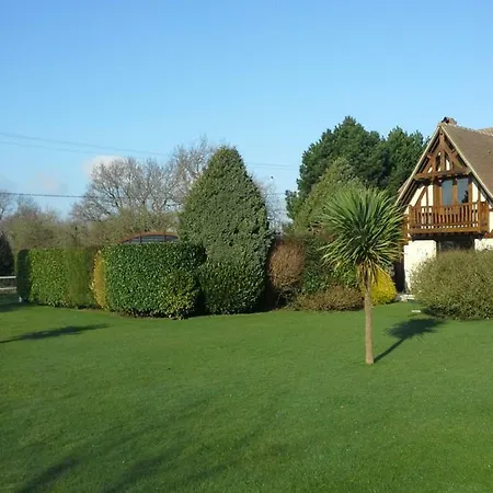 Les Hibiscus * Honfleur