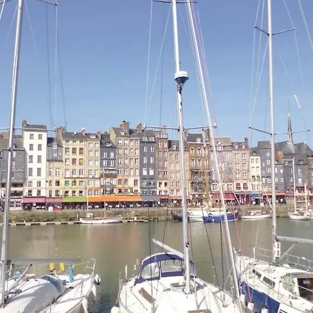 Les Hibiscus * Honfleur