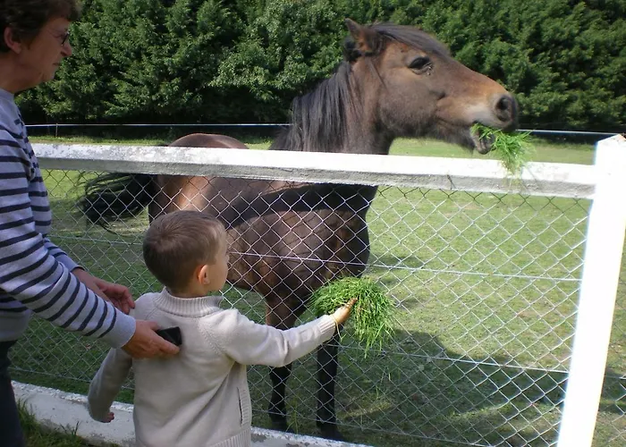 בית נופש Les Hibiscus