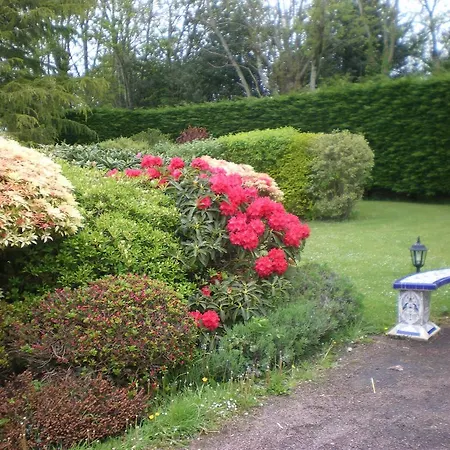 Les Hibiscus * Онфлёр