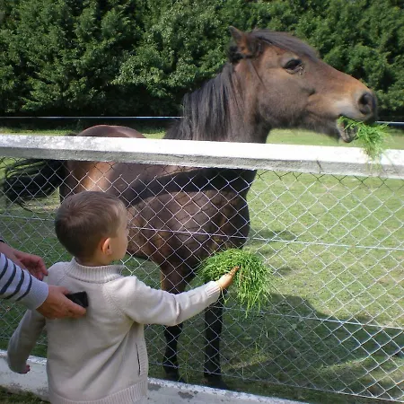 Дом отдыха Les Hibiscus