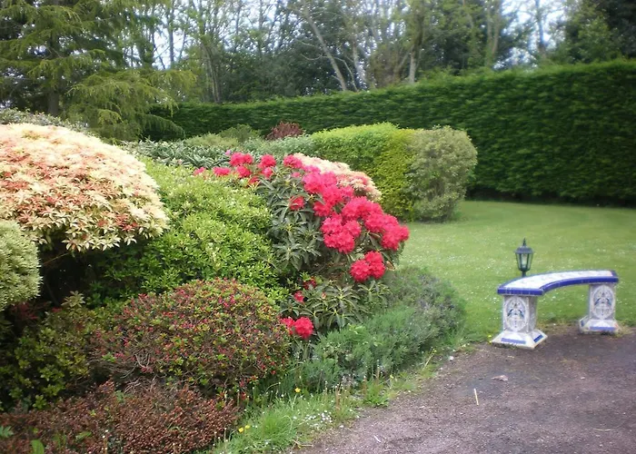 Les Hibiscus * Honfleur