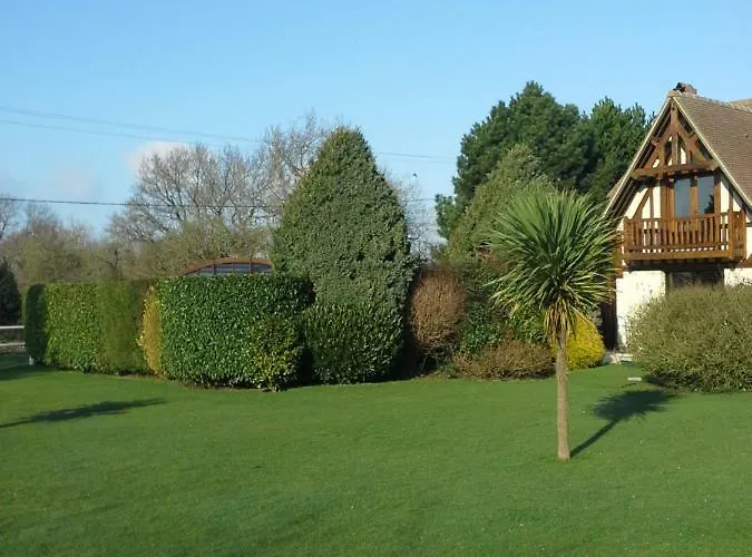 Les Hibiscus * Honfleur