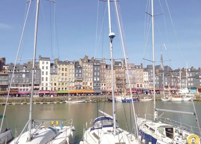 Les Hibiscus * Honfleur